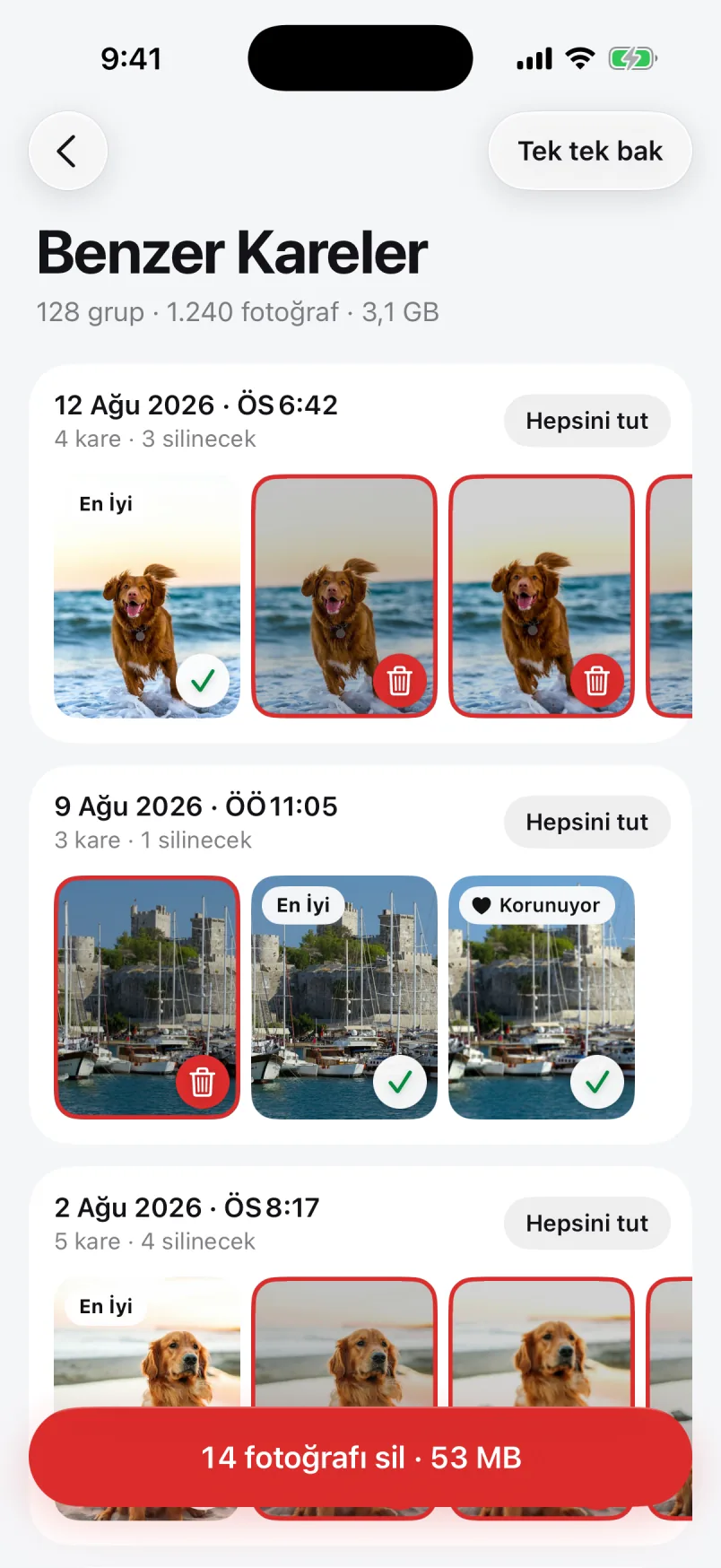 Benzer Kareler ekranı: neredeyse aynı köpek fotoğraflarından oluşan gruplar, her grupta en iyi kare işaretli ve “14 fotoğrafı sil · 53 MB” butonu.