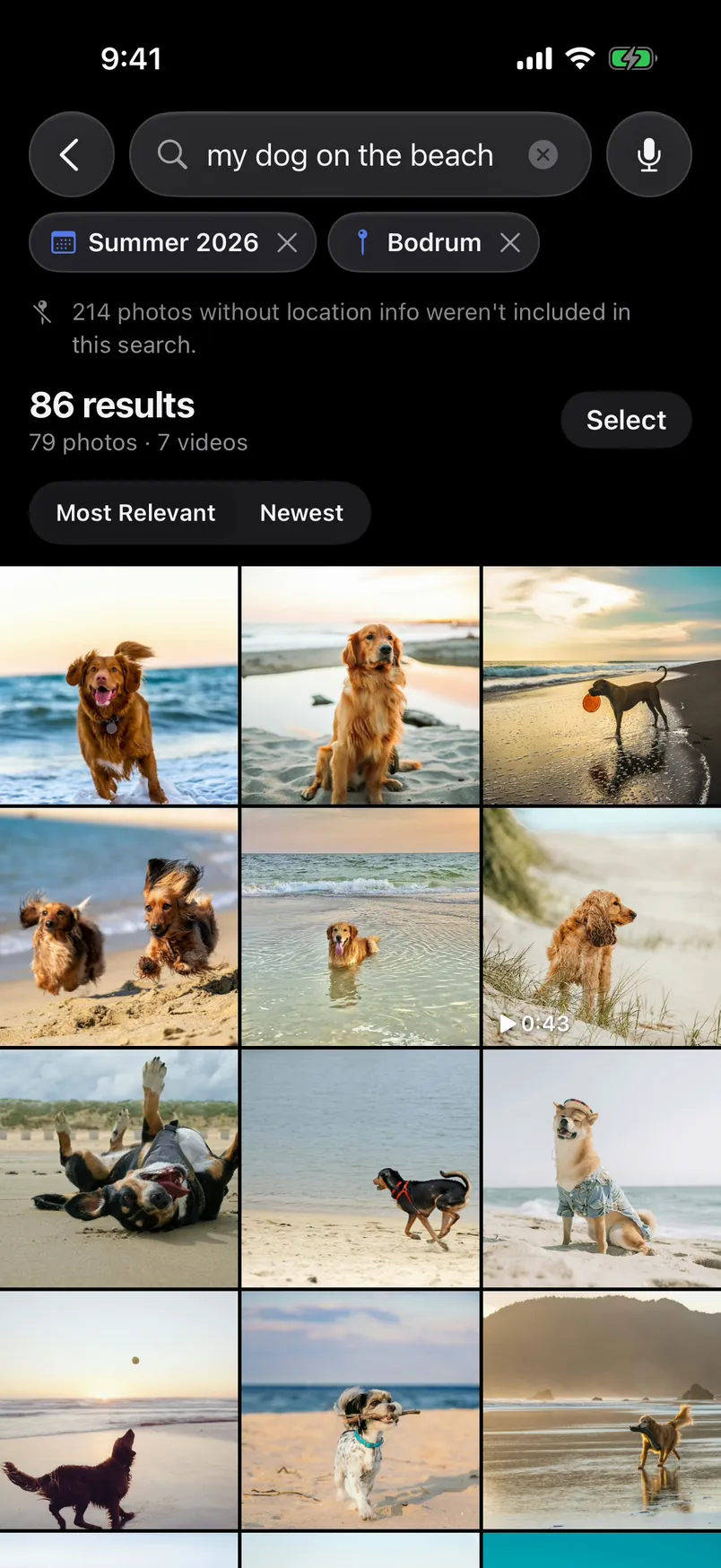 Search results for “my dog on the beach”: 86 results with Summer 2026 and Bodrum filters, a grid of beach photos with dogs.
