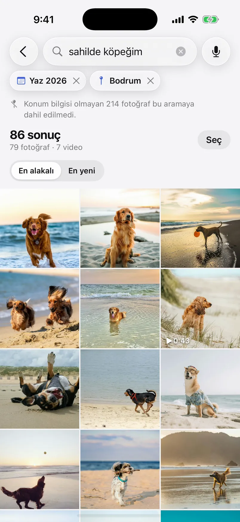 “sahilde köpeğim” arama sonuçları: Yaz 2026 ve Bodrum filtreleriyle 86 sonuç, sahilde köpek fotoğraflarından oluşan bir ızgara.